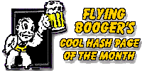 Flying Boogers's Cool HHH Page